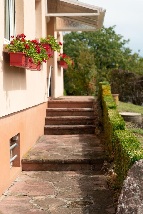 Gite Au Coeur De L'Alsace Maison Gatsby Staffelfelden Exteriör bild